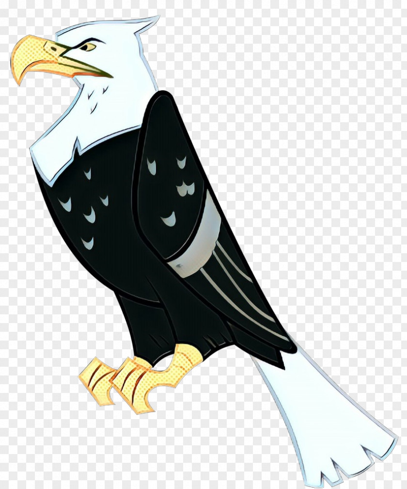 Accipitridae Kite Bird Bald Eagle Of Prey Beak PNG