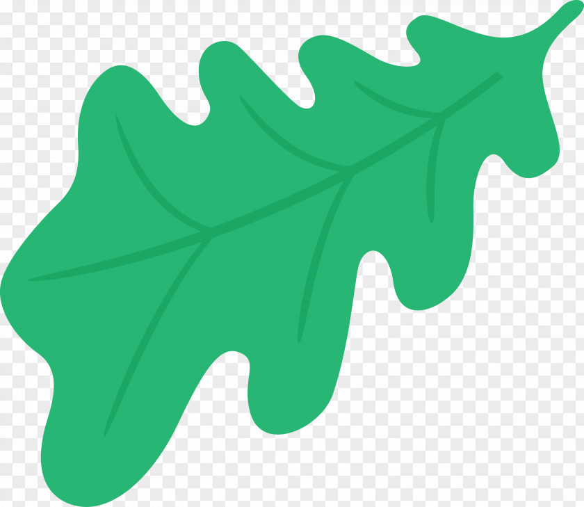 Oak Leaf PNG