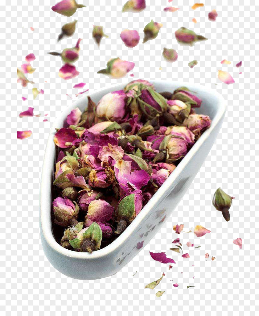 Rose Tea Flowering Beach Chrysanthemum PNG