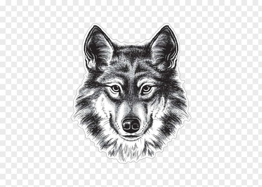 Wolf Sticker Gray Siberian Husky Coyote Drawing Sketch PNG