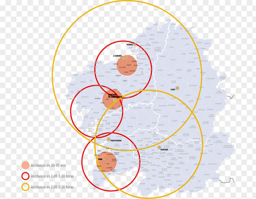 Circle Point Angle Diagram Animal PNG