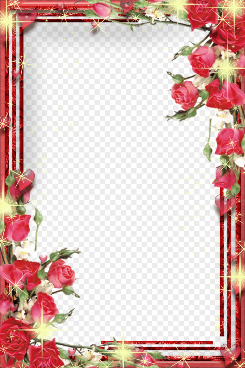Clipart Photo Frame Picture Frames Microsoft Word Clip Art PNG