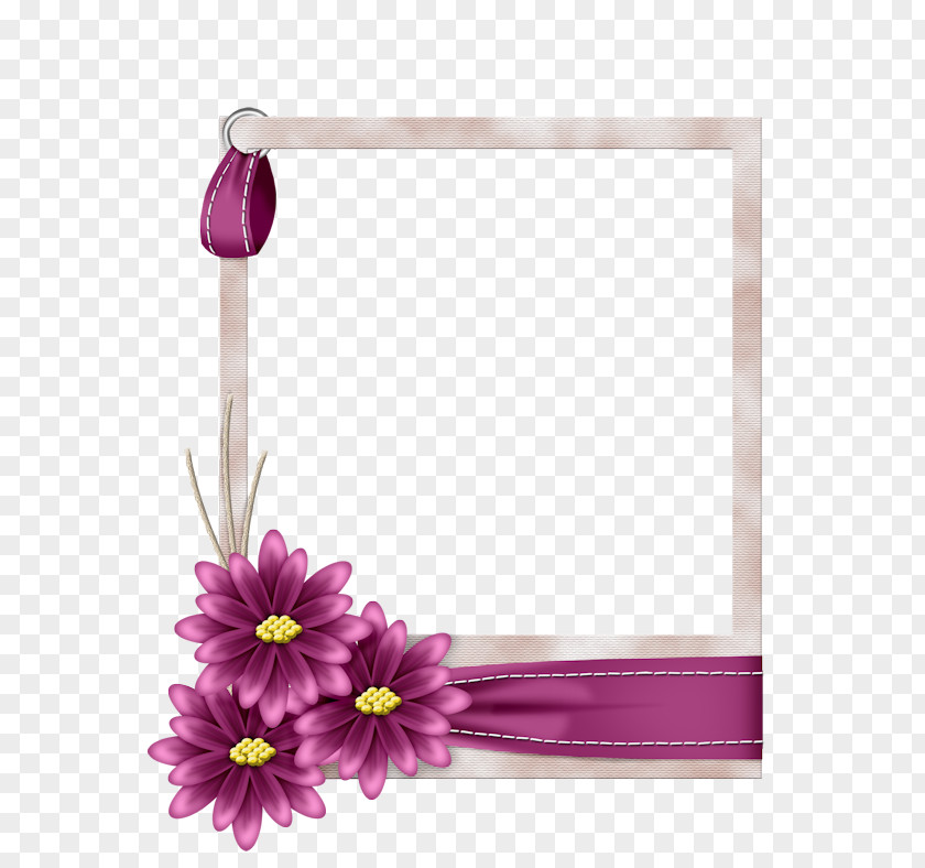 çiçek Picture Frames Photography Digital Photo Frame Paper PNG