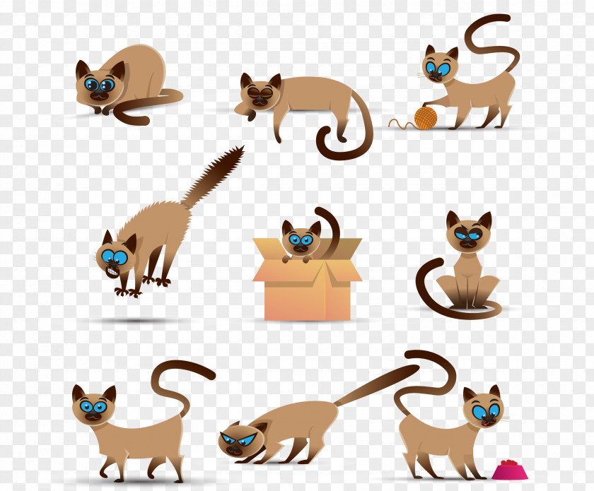 Illustration Orange Pet Siamese Cat Abyssinian Kitten Dog Clip Art PNG