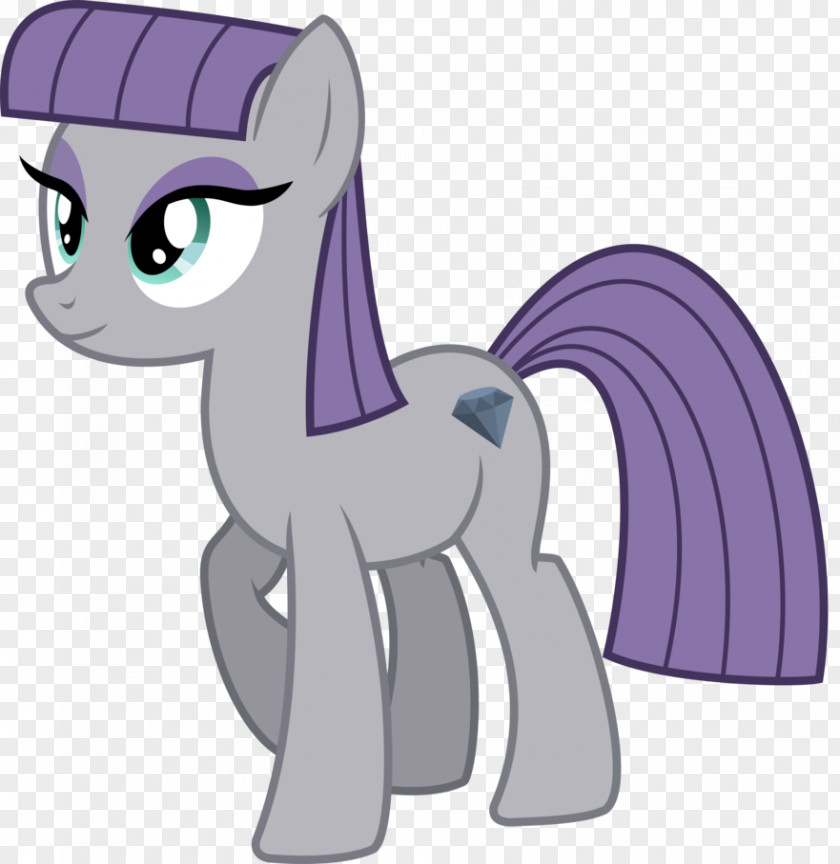 Pinkie Pie Applejack Rarity Rainbow Dash Twilight Sparkle PNG