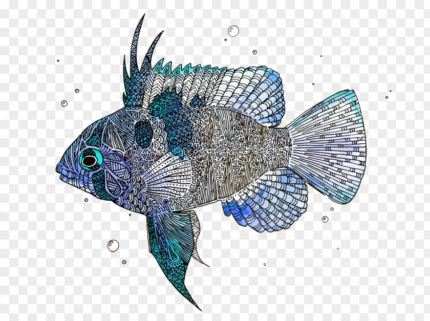 Vector Fishes Fish PNG