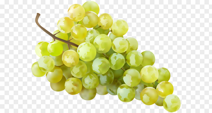 White Grapes Cliparts Sultana Grape Seedless Fruit Clip Art PNG