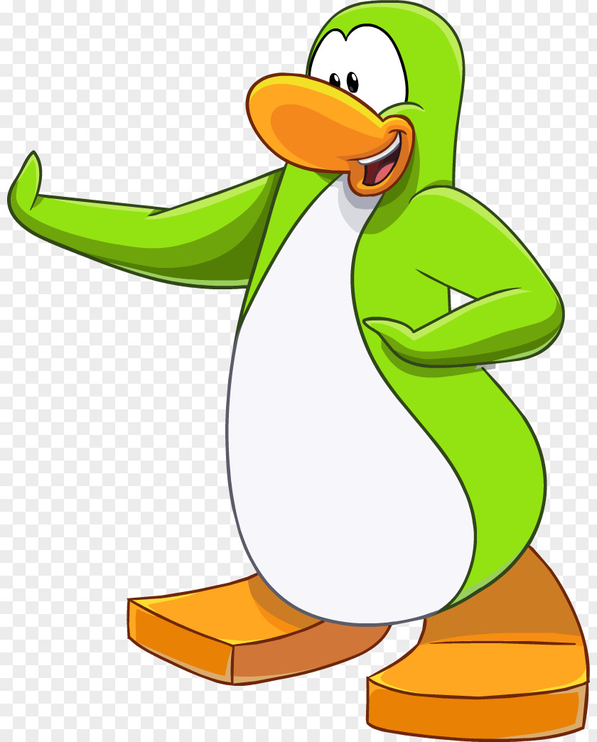 Duck Club Penguin Bird Clip Art PNG