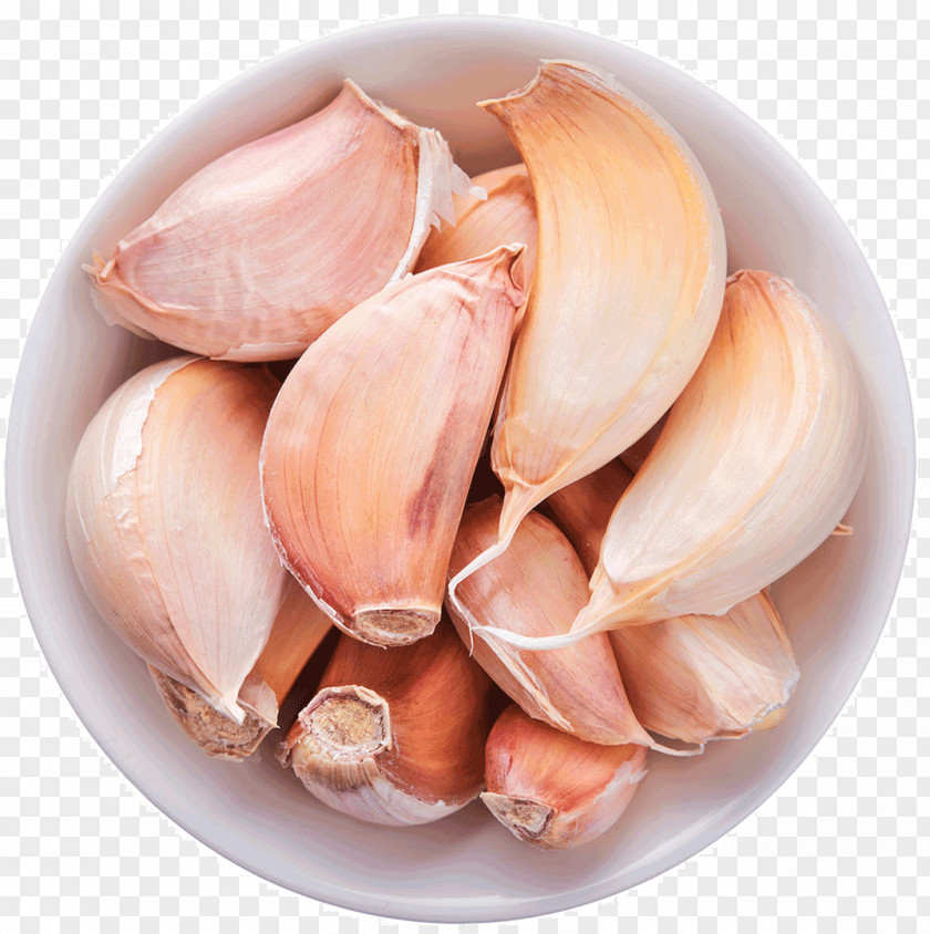 Garlic Spice Condiment Herb Seasoning PNG