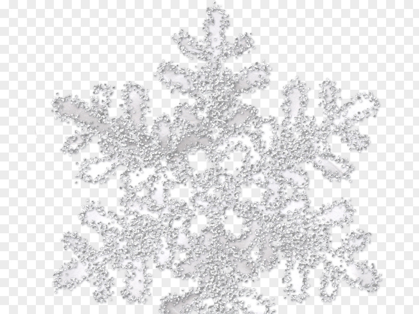 Snowflake Photography Desktop Wallpaper Clip Art PNG