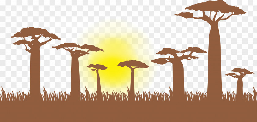 Vector Trees Giraffe Baobab Illustration PNG