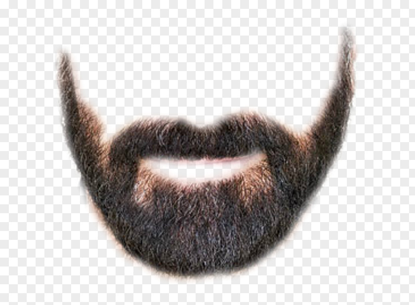 Beard Goatee Whiskers Hairstyle PNG