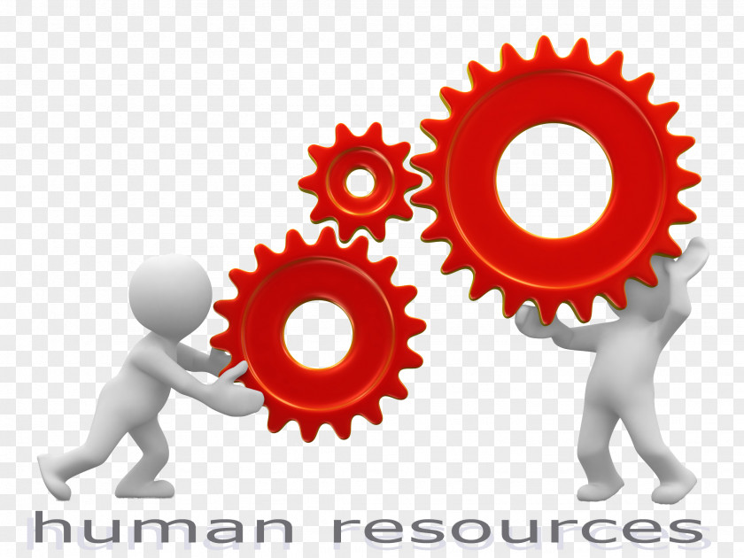 C-hr Human Resource Management Clip Art PNG