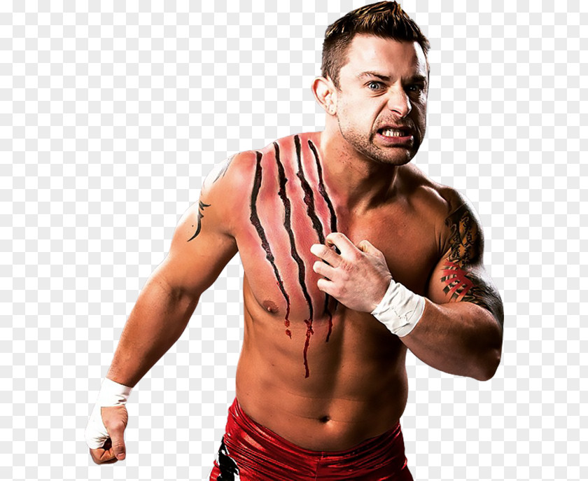 Davey Richards Impact World Championship The American Wolves Wrestling Professional PNG