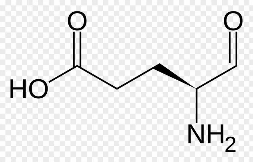 Glutamic Acid MSG Chemistry Glutamate-1-semialdehyde PNG