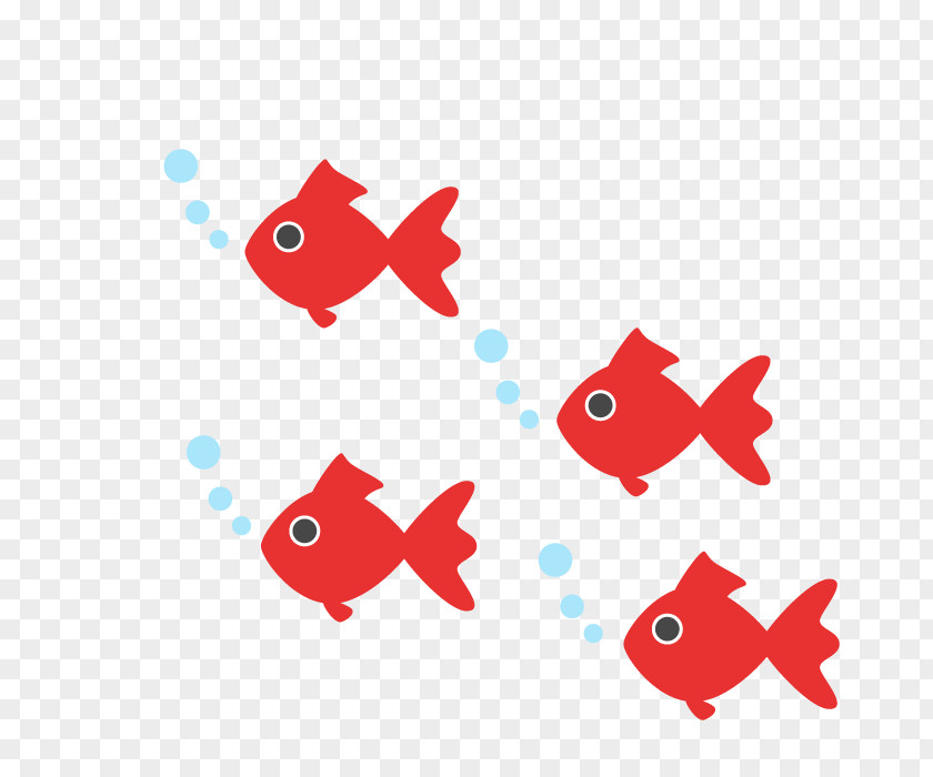 Goldfish Scooping Common Carp Collage PNG