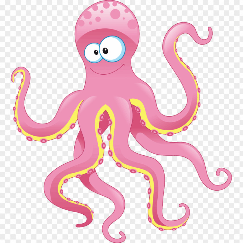 Pulpo Drawing Child Clip Art PNG