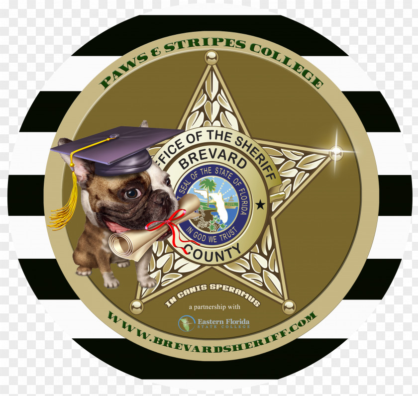 Sheriff Brevard County Sheriff's Office Blount County, Tennessee Eastern Florida State College Organization PNG