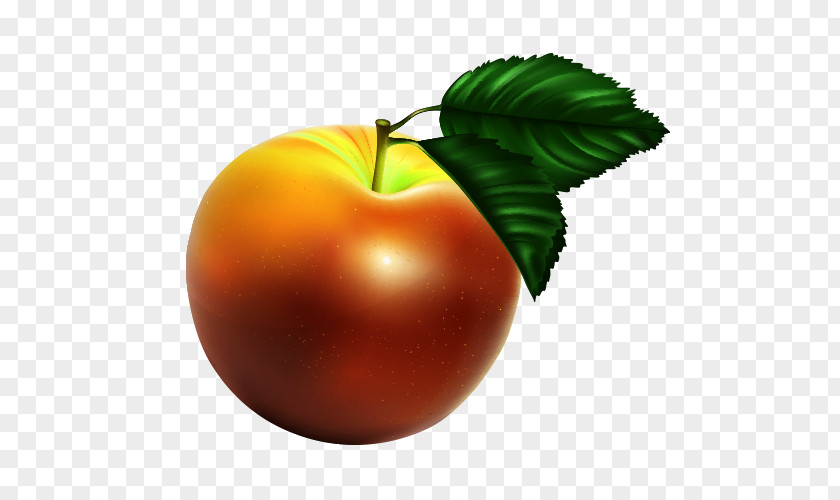 Apple Cartoon Material Tomato PNG