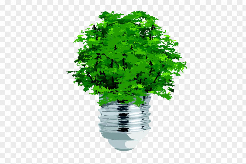 Creative Bulb Plant Tree Ecology Concept Clip Art PNG