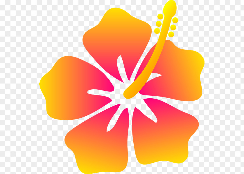 Lomi Hawaii Drawing Flower Floral Design PNG