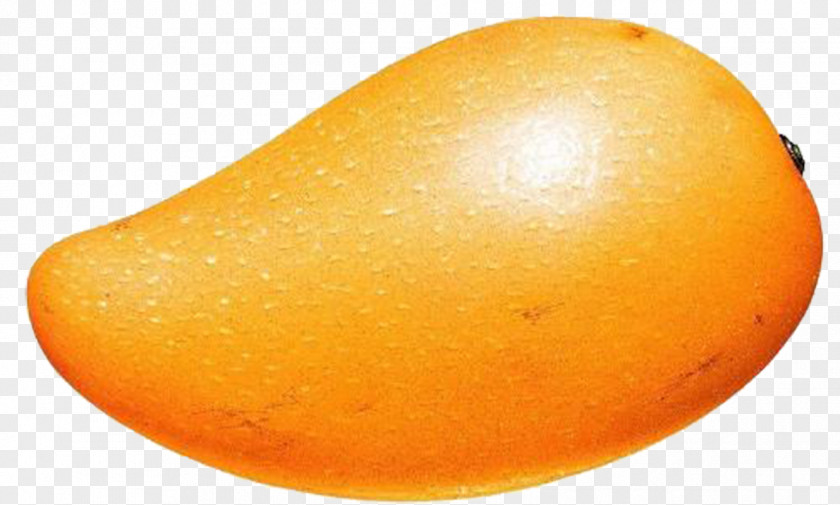 Mango Food Eating PNG