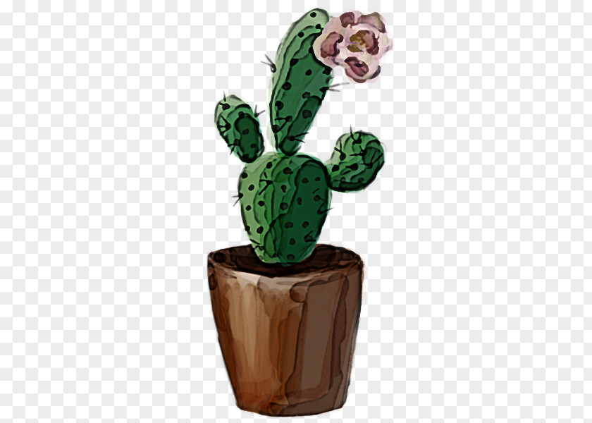 Prickly Pear Houseplant Cactus PNG