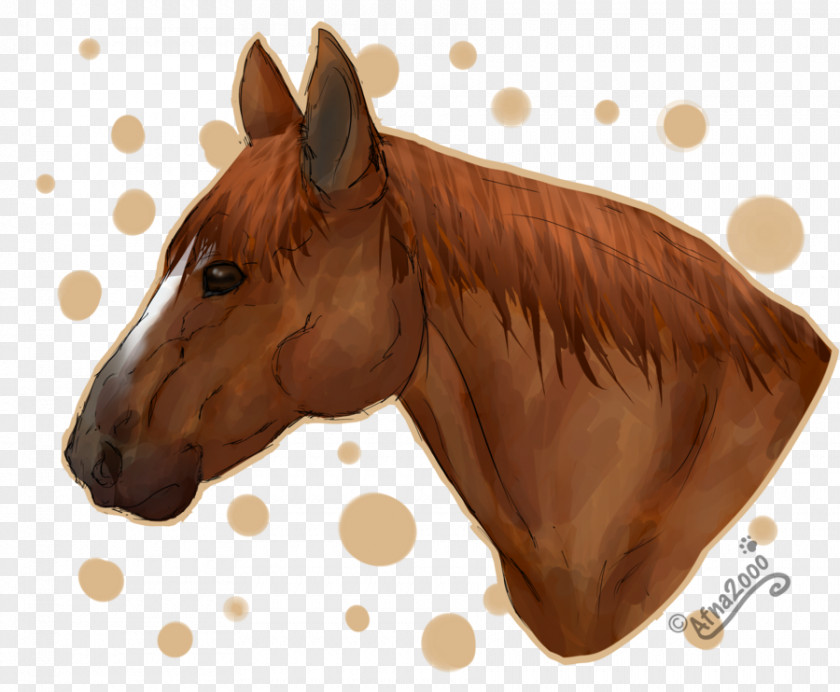 Shading Clipart American Quarter Horse Stallion Pony Head Mask Animation PNG