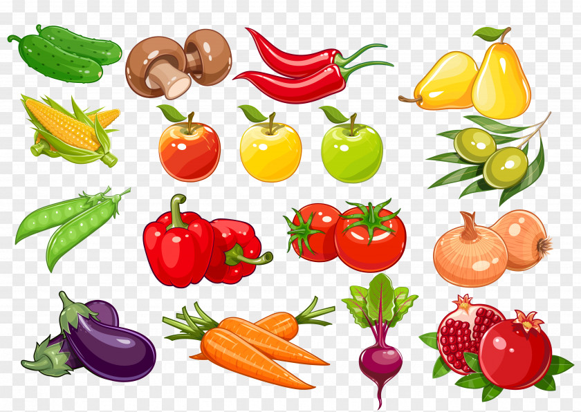 Vector Painted Fruits And Vegetables Bell Pepper Fruit Vegetable Vegetarian Cuisine Food PNG