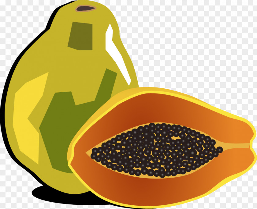 Vector Papaya Fruit Clip Art PNG