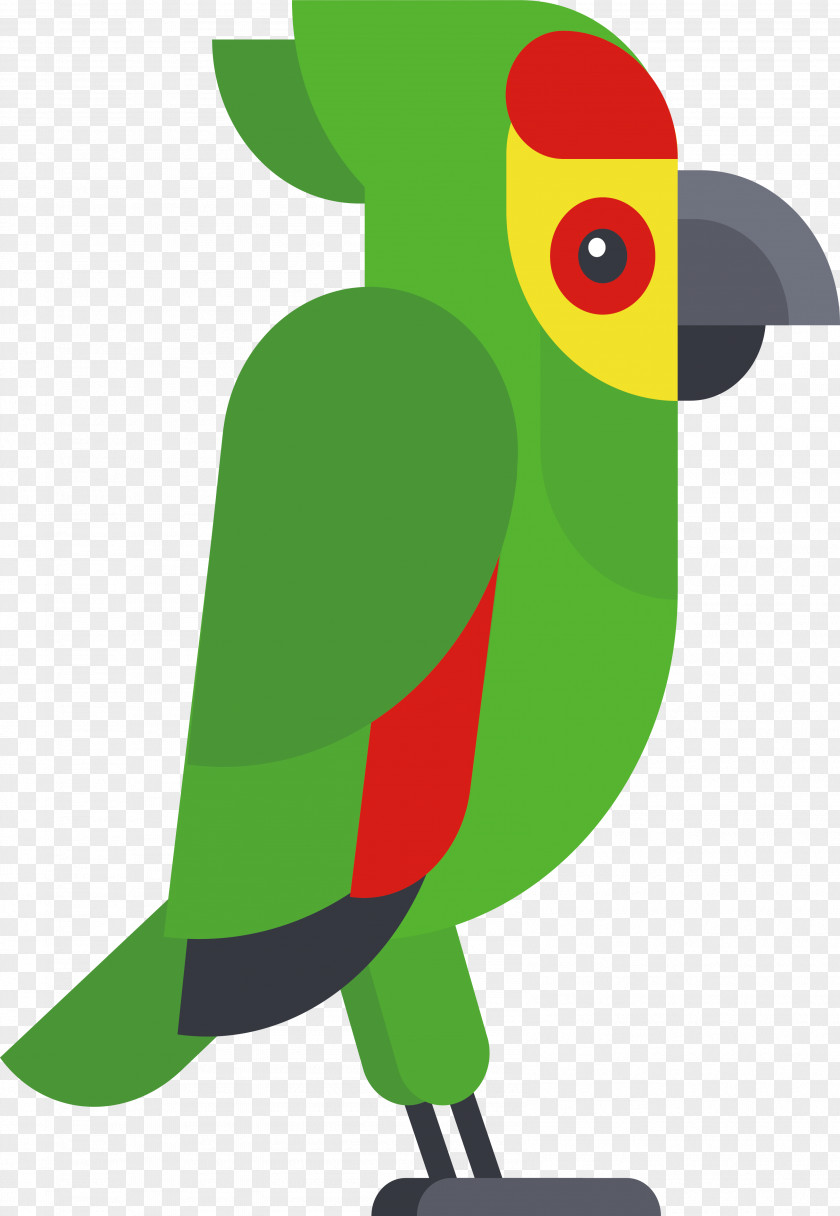 Cartoon Bird Design Drawing PNG