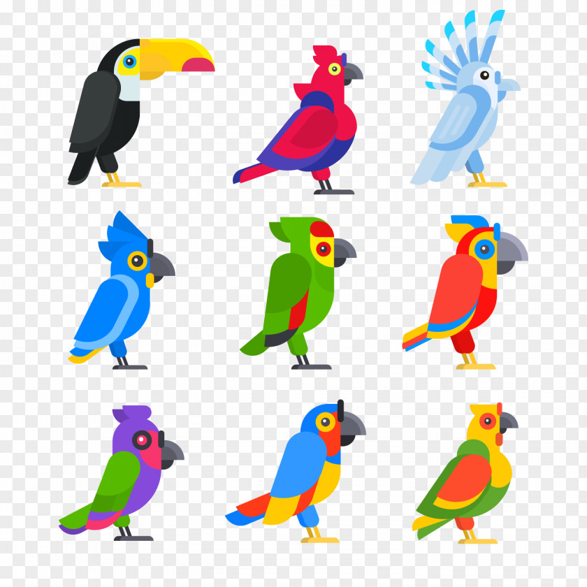 Cartoon Parrot Vector Bird Flat Design PNG