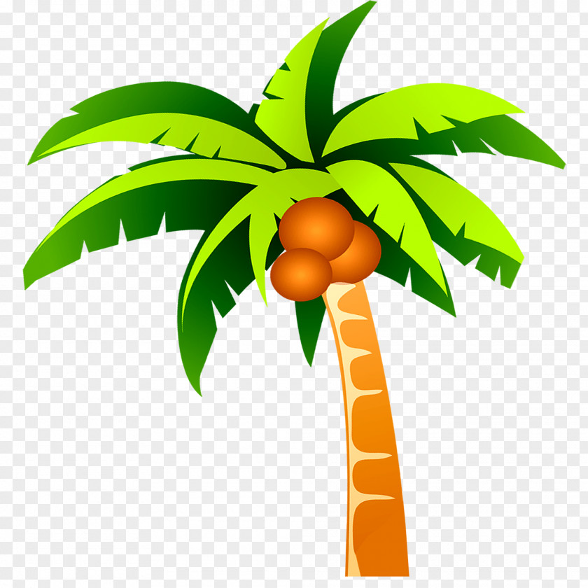 Coconut Tree Plant PNG