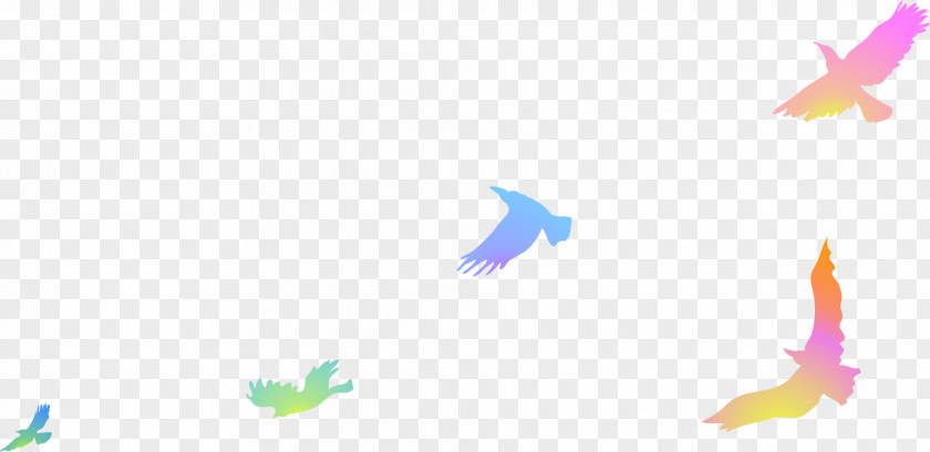Floating Colored Birds Bird Computer File PNG
