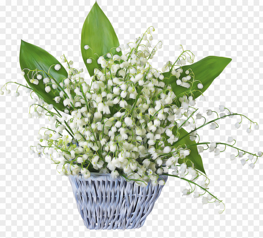 Floral Design PNG