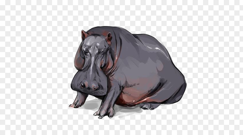 Hippo Hippopotamus Drawing PNG