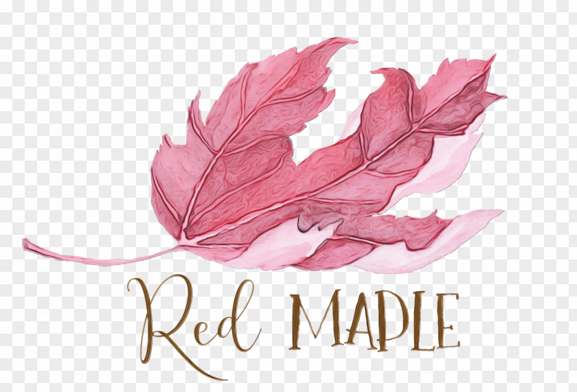 Logo Flower Pink Cartoon PNG