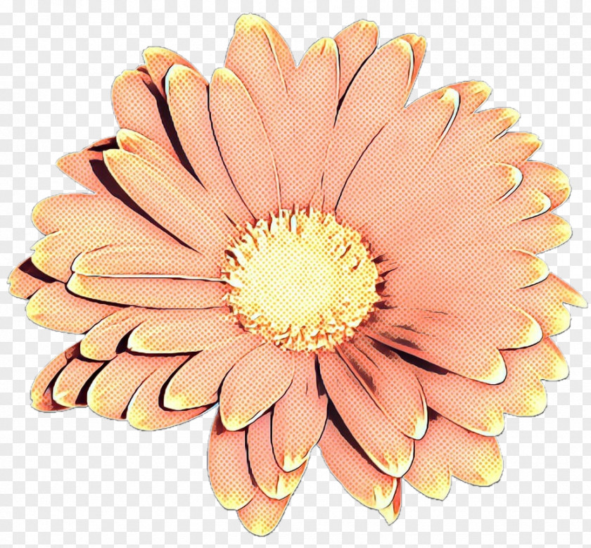 Nail Peach Flowers Background PNG