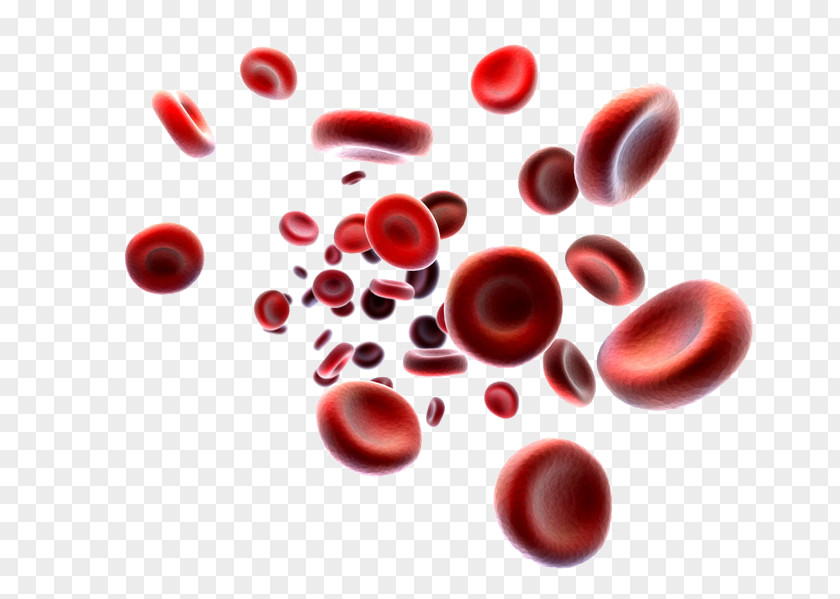 Neck Bloodstain Platelet-rich Plasma Red Blood Cell White PNG