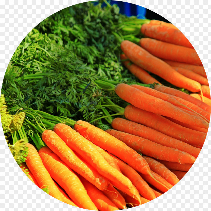 Plants Of The Southwest Junk Food Carrot Vegetable Herb PNG