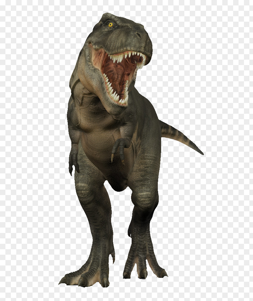 Sharp Roar Rex Tyrannosaurus Dinosaur 3D Modeling Computer Graphics PNG