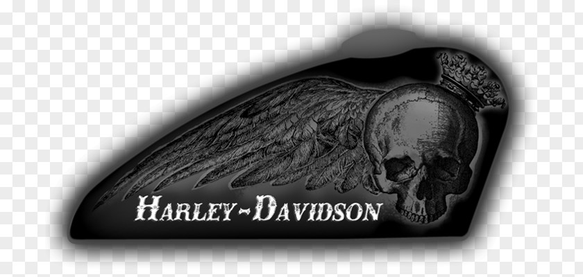 Skull Moto Harley-Davidson Museum Custom Motorcycle Sportster PNG