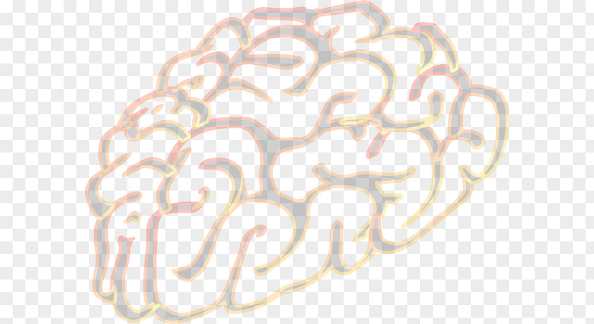 Brain Human Mapping Clip Art Skull PNG