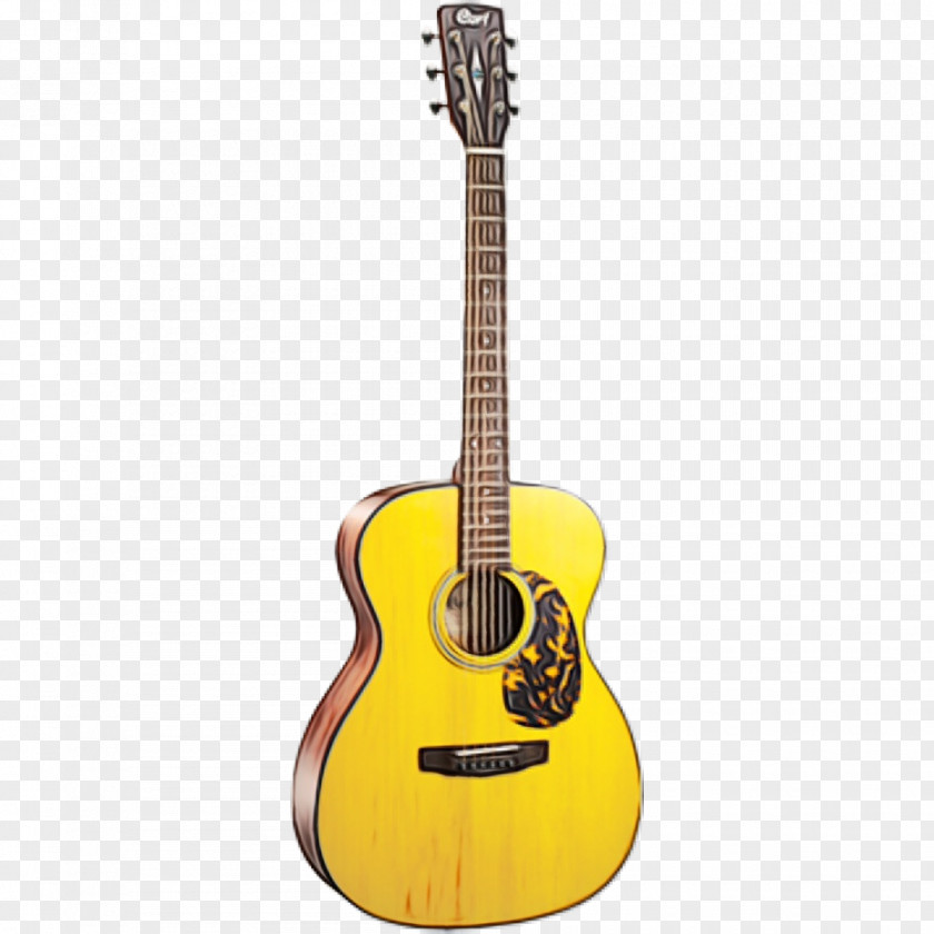 Electric Guitar Acousticelectric PNG