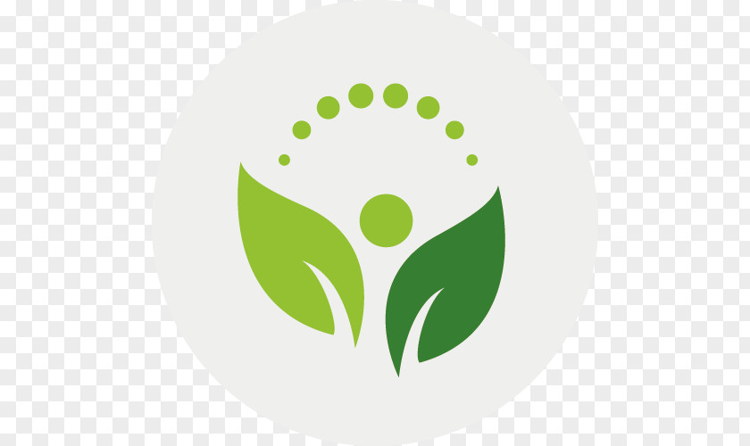 Energy Logo Graphic Design RMD/Patti Insurance PNG