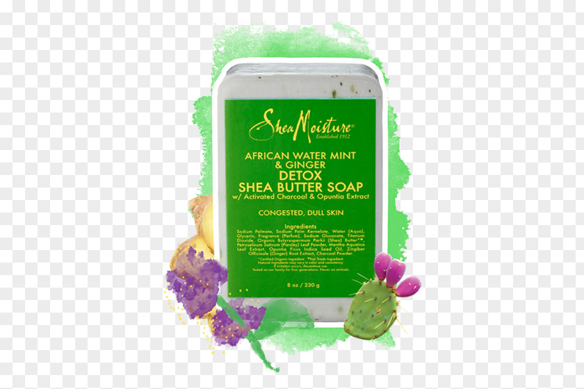 Mint Charcoal Soap SheaMoisture African Water & Ginger Detox Hair Scalp Gentle Shampoo Shea Moisture Butter PNG