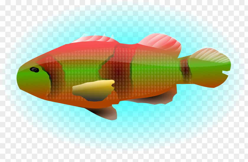 Ocean Goldfish Koi Clip Art PNG