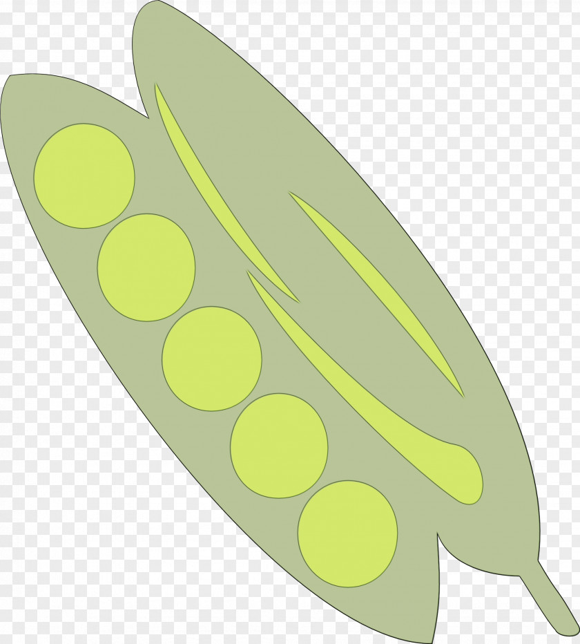 Plant Leaf Yellow Green PNG