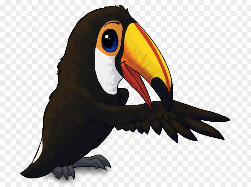 Toucan Bird Toco Drawing Animation PNG