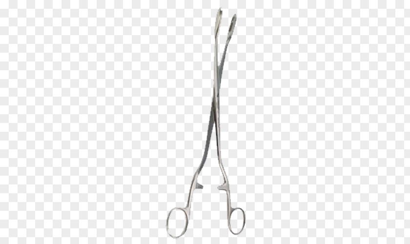Aborto Tweezers Productos Hospitalarios Scissors Surgery PNG